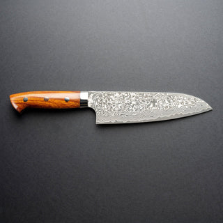 Takeshi Saji R-2 Custom Black Damascus Wild Series Gyuto - 18cm Kokkekniv Takeshi Saji 